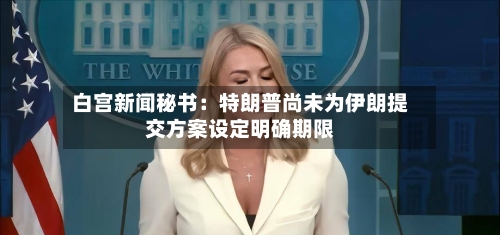 白宫新闻秘书:特朗普尚未为伊朗提交方案设定明确期限-第3张图片