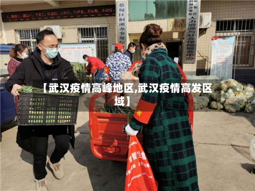【武汉疫情高峰地区,武汉疫情高发区域】