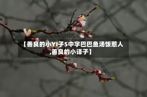 【善良的小YI子5中字巴巴鱼汤饭惹人,善良的小译子】