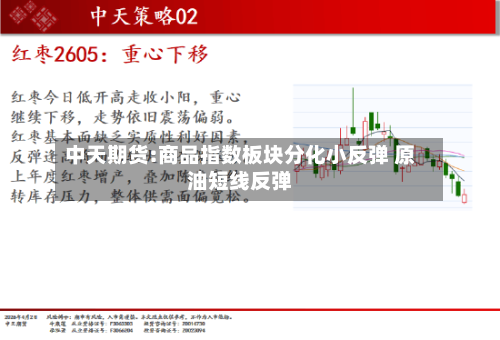 中天期货:商品指数板块分化小反弹 原油短线反弹