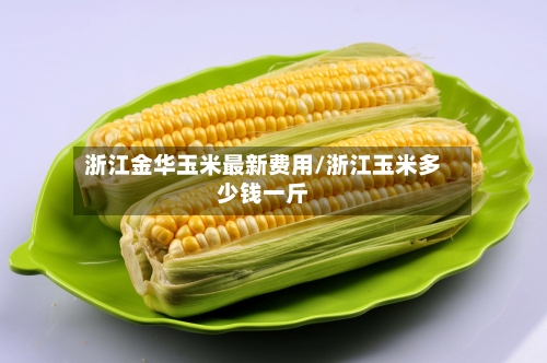 浙江金华玉米最新费用/浙江玉米多少钱一斤