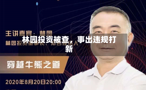 林园投资被查，事出违规打新-第2张图片