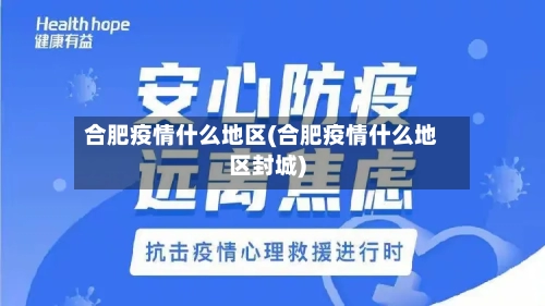 合肥疫情什么地区(合肥疫情什么地区封城)-第2张图片
