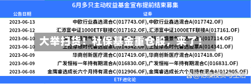 大举扫货！社保基金重仓股	，来了！-第3张图片