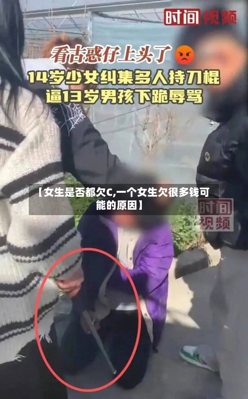 【女生是否都欠C,一个女生欠很多钱可能的原因】-第2张图片