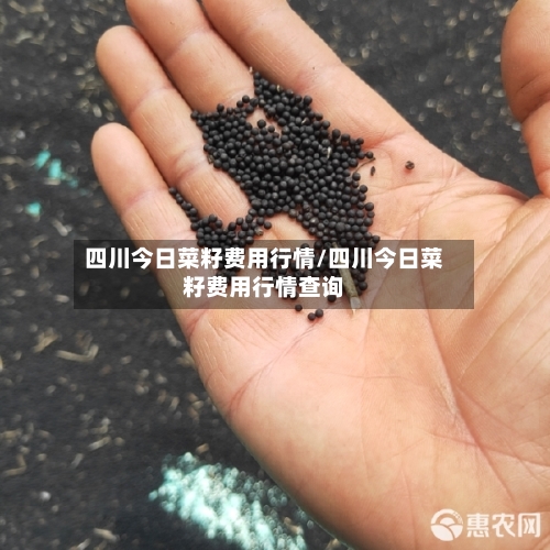 四川今日菜籽费用行情/四川今日菜籽费用行情查询