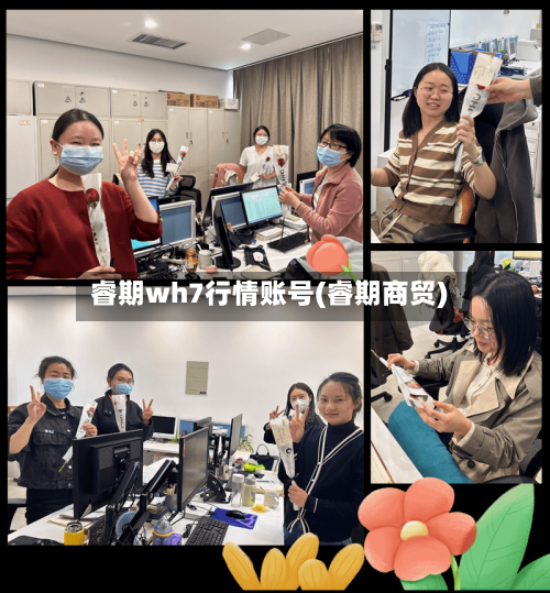 睿期wh7行情账号(睿期商贸)-第3张图片