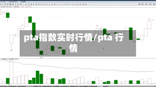 pta指数实时行情/pta 行情-第3张图片