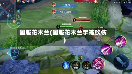 国服花木兰(国服花木兰手被砍伤)