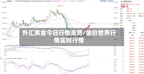 外汇黄金今日行情走势/金价世界行情实时行情