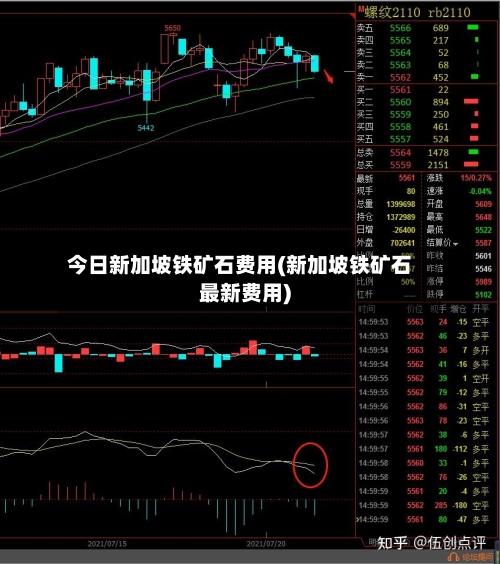 今日新加坡铁矿石费用(新加坡铁矿石最新费用)