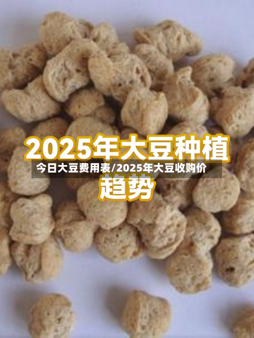 今日大豆费用表/2025年大豆收购价