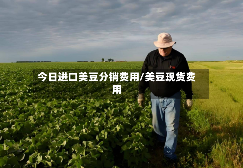 今日进口美豆分销费用/美豆现货费用