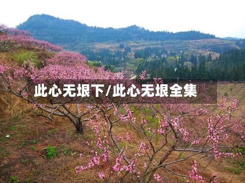 此心无垠下/此心无垠全集