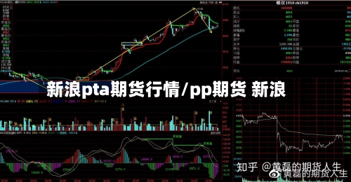 新浪pta期货行情/pp期货 新浪-第2张图片