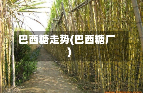 巴西糖走势(巴西糖厂)-第3张图片
