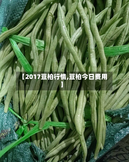 【2017豆柏行情,豆柏今日费用】-第2张图片