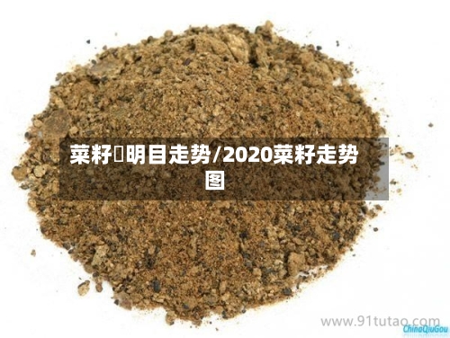菜籽粨明目走势/2020菜籽走势图-第2张图片