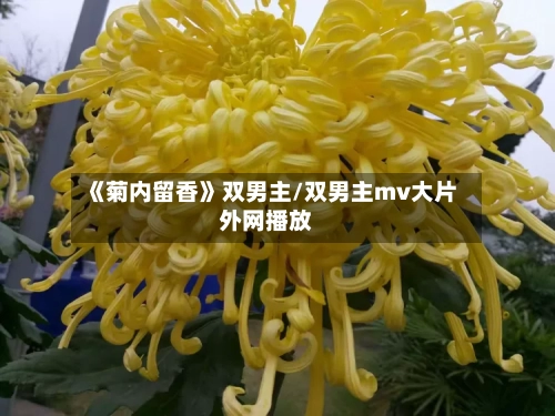《菊内留香》双男主/双男主mv大片外网播放