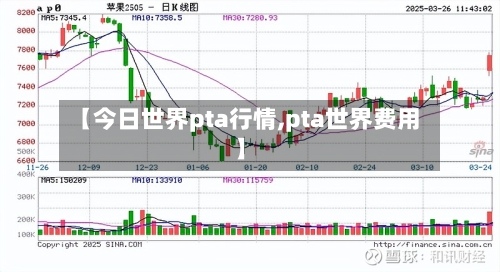 【今日世界pta行情,pta世界费用】-第2张图片