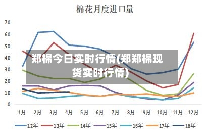 郑棉今日实时行情(郑郑棉现货实时行情)-第2张图片