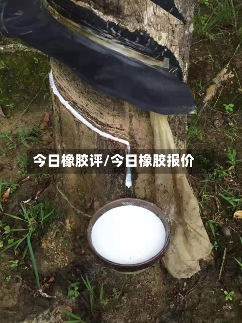 今日橡胶评/今日橡胶报价