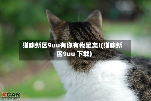 猫咪新区9uu有你有我足矣!(猫咪新区9uu 下载)-第2张图片