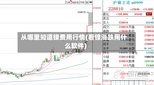 从哪里知道镍费用行情(看镍涨跌用什么软件)