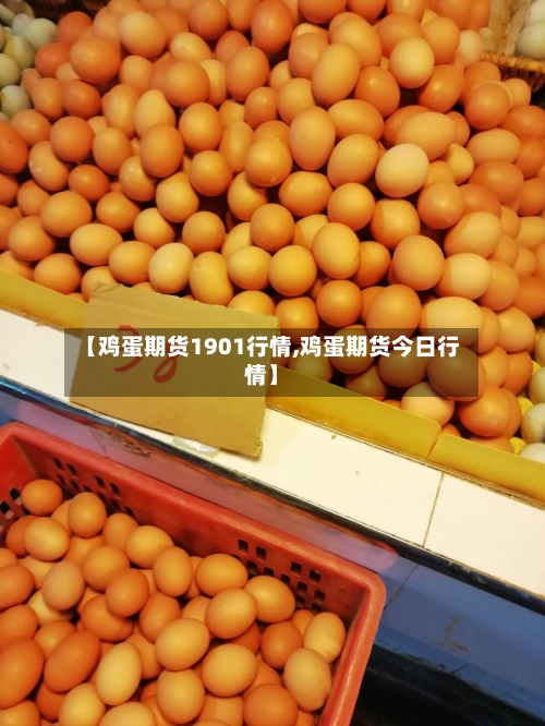 【鸡蛋期货1901行情,鸡蛋期货今日行情】