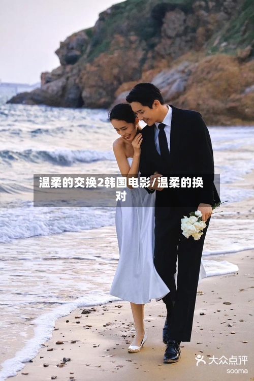 温柔的交换2韩国电影/温柔的换对-第3张图片