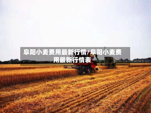 阜阳小麦费用最新行情/阜阳小麦费用最新行情表