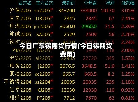 今日广东锡期货行情(今日锡期货费用)-第2张图片