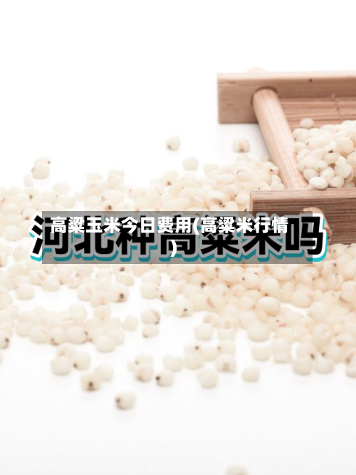 高粱玉米今日费用(高粱米行情)-第2张图片