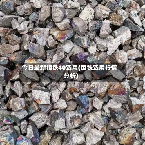 今日最新钼铁40费用(钼铁费用行情分析)