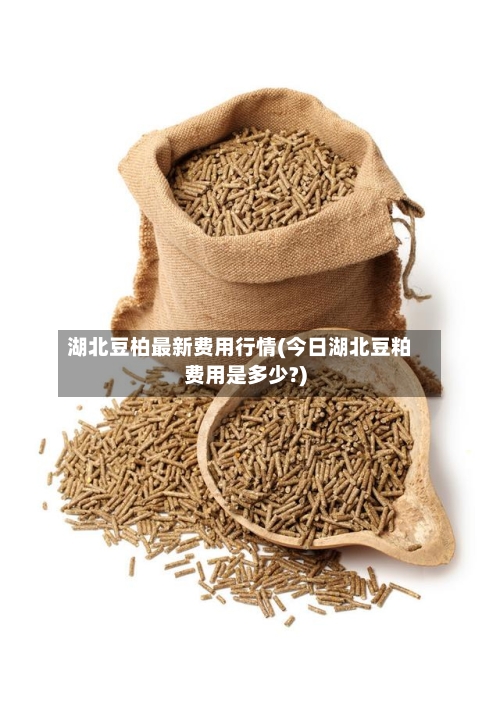 湖北豆柏最新费用行情(今日湖北豆粕费用是多少?)