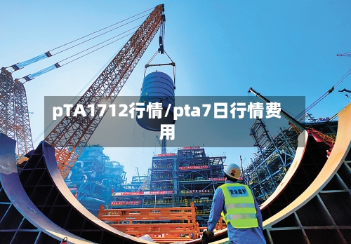 pTA1712行情/pta7日行情费用