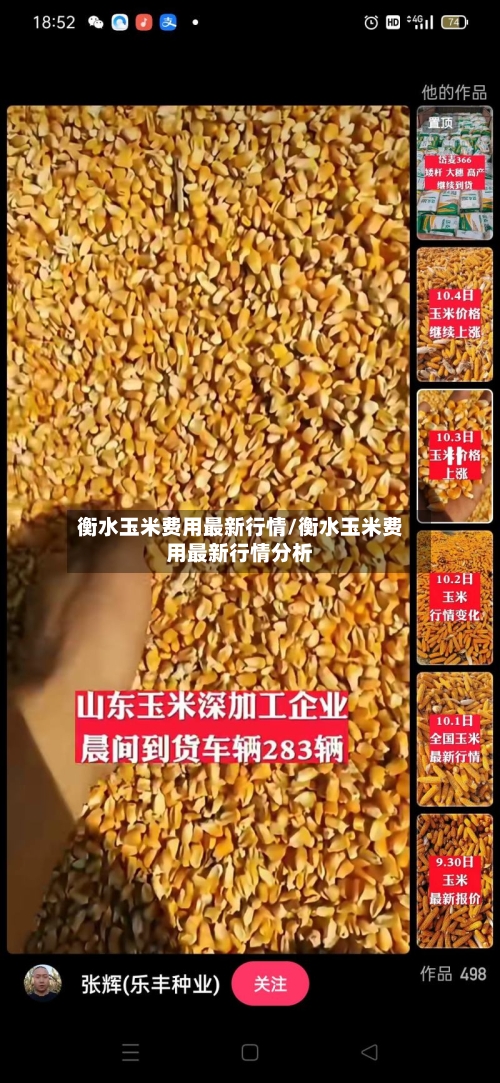 衡水玉米费用最新行情/衡水玉米费用最新行情分析-第2张图片
