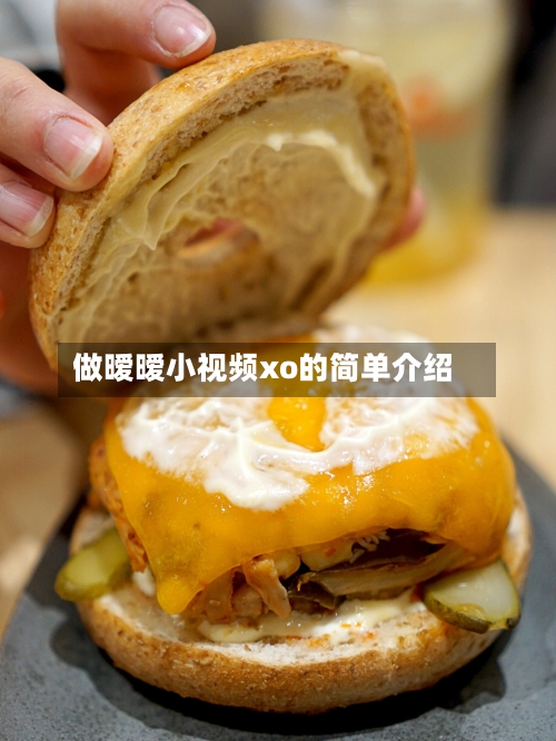 做暧暧小视频xo的简单介绍
