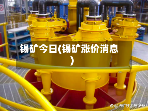 锡矿今日(锡矿涨价消息)