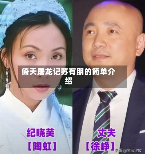 倚天屠龙记苏有朋的简单介绍-第2张图片