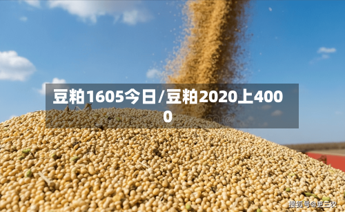豆粕1605今日/豆粕2020上4000-第2张图片