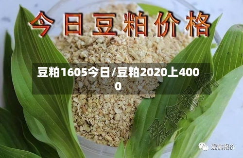 豆粕1605今日/豆粕2020上4000-第3张图片