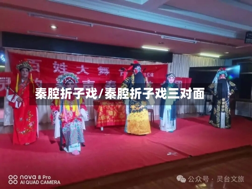 秦腔折子戏/秦腔折子戏三对面