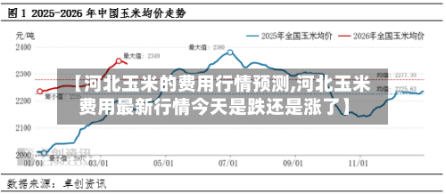 【河北玉米的费用行情预测,河北玉米费用最新行情今天是跌还是涨了】