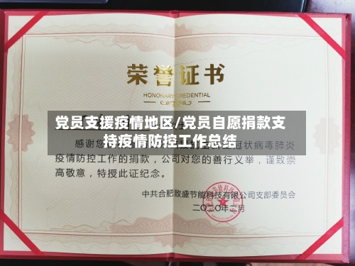 党员支援疫情地区/党员自愿捐款支持疫情防控工作总结