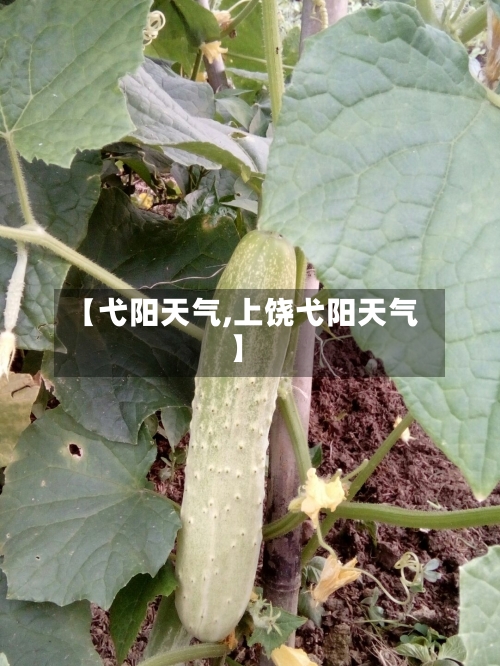 【弋阳天气,上饶弋阳天气】-第3张图片