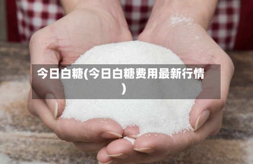 今日白糖(今日白糖费用最新行情)-第3张图片