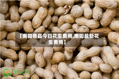 【南阳各县今日花生费用,南阳最新花生费用】-第2张图片