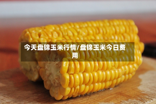 今天盘锦玉米行情/盘锦玉米今日费用