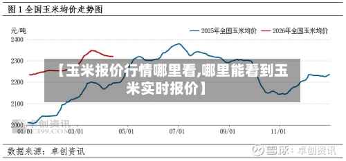 【玉米报价行情哪里看,哪里能看到玉米实时报价】